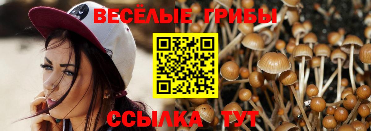 Пугачёв  Псилоцибиновые грибы Magic Shrooms  Вход с VPN  Галлюциногенные грибы Psilocybine cubensis 