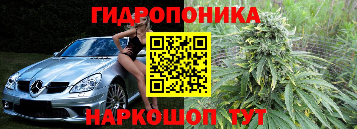 Бошки Шишки план  Бошки марихуана тримм  Пугачёв  Вход с VPN  Бошки Шишки OG Kush 